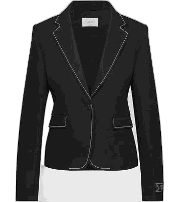 Wilfred Aritzia Wilfred Women's Etiquette Blazer